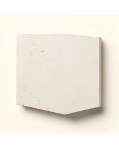 Solid Seashell 8 '' X 8 '' Cement Field Tile (synthetic illustration; no displayed measurements)