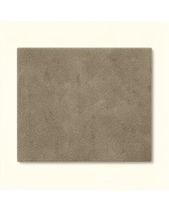19.7 '' X 39.4 '' Multi Level Loop Carpet Tile (synthetic illustration; no displayed measurements)