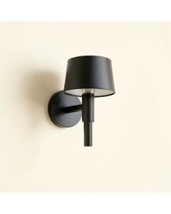 Birch Dell Wall Sconce Mounted On A Plain Wall - Black (synthetic illustration; no displayed measurements)