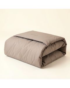 Umberger Embroidery Comforter Set (synthetic illustration; no displayed measurements)