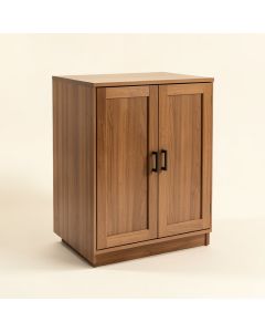 Arthas 2 Door Accent Cabinet (synthetic illustration; no displayed measurements)