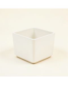 Fern Bridge Empty Planter - White (synthetic illustration; no displayed measurements)