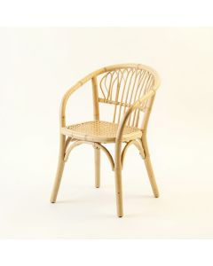 Alder Bridge Dining Chair - Ivory (synthetic illustration; no displayed measurements)