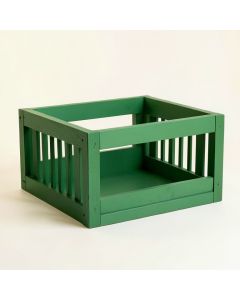 Birch Dale Empty Furniture-Style Pet Crate - Green (synthetic illustration; no displayed measurements)