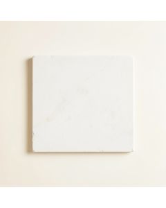 Willow Branch Uninstalled Square Decorative Tile - White (synthetic illustration; no displayed measurements)