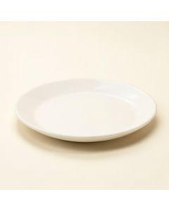 Sandbar Platter (synthetic illustration; no displayed measurements)