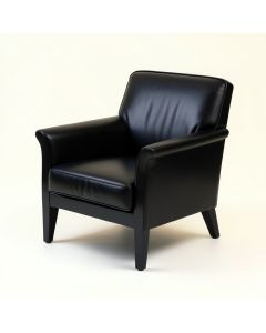 Leaman 27.95 '' Wide Armchair (synthetic illustration; no displayed measurements)