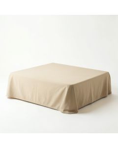 Dawn Branch Flat Bed Sheet - Beige (synthetic illustration; no displayed measurements)