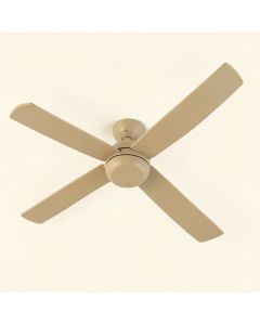 60 '' Ceiling Fan Blade (synthetic illustration; no displayed measurements)