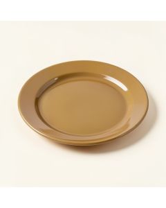 Oberyn 9 '' Melamine Salad Plate (synthetic illustration; no displayed measurements)