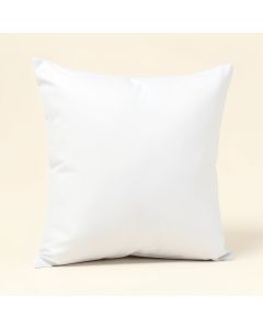 Slick Quality Decorative Square Pillow Cover & Insert (synthetic illustration; no displayed measurements)