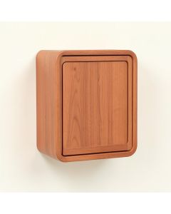 Maple Dale Wall-Mounted Entry Cabinet - Terracotta (synthetic illustration; no displayed measurements)