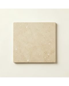 Moss Branch Uninstalled Square Decorative Tile - Beige (synthetic illustration; no displayed measurements)