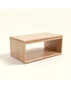 Ochlocknee Flip Top Storage Bench (synthetic illustration; no displayed measurements)