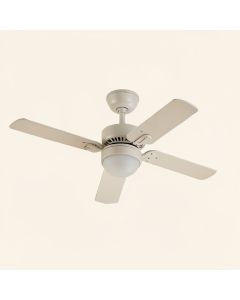 Non Reversing Fan And Light Ceiling Fan Remote (synthetic illustration; no displayed measurements)