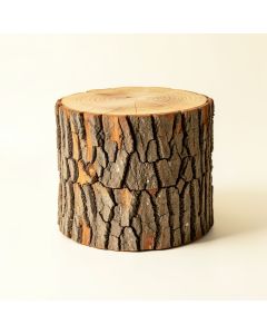 Gosnold Tree Stump End Table (synthetic illustration; no displayed measurements)
