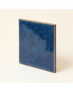 Faventie 13 '' X 13 '' Ceramic Wall & Floor Tile (synthetic illustration; no displayed measurements)