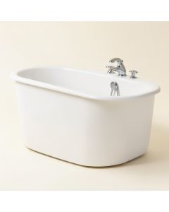 55 '' X 30 '' Bathtub With Faucet (synthetic illustration; no displayed measurements)