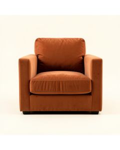 Birch Arc Upholstered Armchair (synthetic illustration; no displayed measurements)