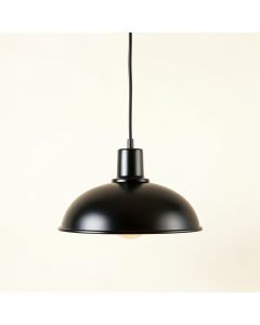 Alder Arc Pendant Light Suspended From One Plain Cable (synthetic illustration; no displayed measurements)