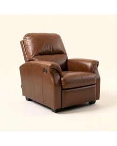 Teasley 30 '' Wide Manual Standard Recliner (synthetic illustration; no displayed measurements)