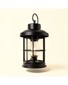 Ainsworth Earth Black 1 -Bulb 20.75 '' H Outdoor Hanging Lantern (synthetic illustration; no displayed measurements)