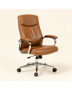 Beechmoor Ergonomic Office Chair (synthetic illustration; no displayed measurements)
