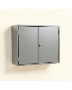Birch Crest Wall-Mounted Entry Cabinet - Gray (synthetic illustration; no displayed measurements)