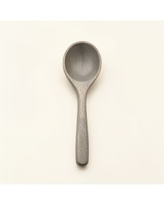Slate Crest Cooking Spoon - Gray (synthetic illustration; no displayed measurements)