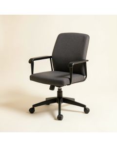 Petillo Task Chair (synthetic illustration; no displayed measurements)