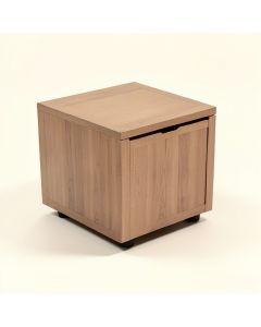 Wilfried Rectangular End Table With Storage (synthetic illustration; no displayed measurements)