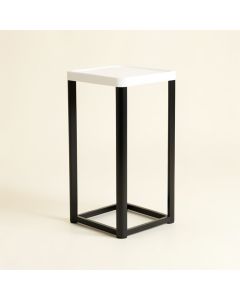 Aaryn-John Plant Stand (synthetic illustration; no displayed measurements)