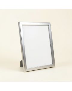 Wayfair Basics® Aluminum Thin-Border Design Picture Frame (synthetic illustration; no displayed measurements)