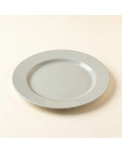 8.5 '' Melamine Salad Plate (synthetic illustration; no displayed measurements)