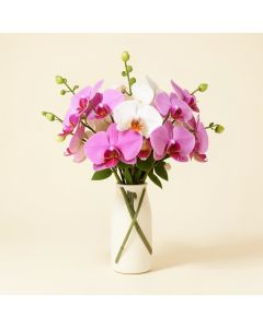 Dancing Lady Silk Orchid Floral Arrangement In Vase (synthetic illustration; no displayed measurements)