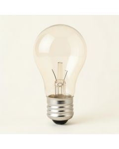 60 Watt Incandescent Non-Dimmable Light Bulb E12/Candelabra Base (synthetic illustration; no displayed measurements)