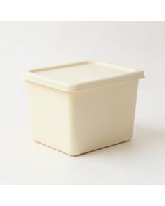 Dune Branch Closed Outdoor Storage Box - Cream (synthetic illustration; no displayed measurements)