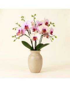 Orchid With Vine Centerpiece In Vase (synthetic illustration; no displayed measurements)