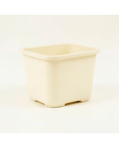 Cedar Bridge Empty Raised Planter - Ivory (synthetic illustration; no displayed measurements)
