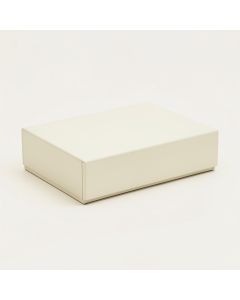 Elm Dell Desktop Monitor Riser - Ivory (synthetic illustration; no displayed measurements)