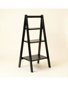 Domonque 52 '' H X 19 '' W Ladder Bookcase (synthetic illustration; no displayed measurements)