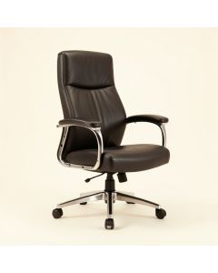 Back In Motion™ Health And Wellness Ergonomic Executive Chair (synthetic illustration; no displayed measurements)