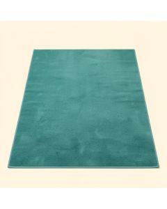 Tollette Teal Outdoor Area Rug (synthetic illustration; no displayed measurements)