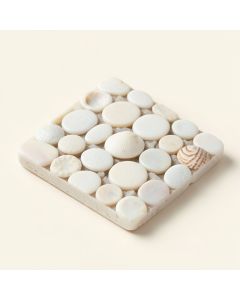 Shore 1 '' X 1 '' Seashell Random Mosaic Tile (synthetic illustration; no displayed measurements)