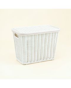 Ash Arc Laundry Hamper (synthetic illustration; no displayed measurements)