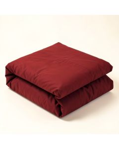 Mitchell Egyptian-Quality Cotton 300-Thread Count Solid Duvet Cover Set (synthetic illustration; no displayed measurements)