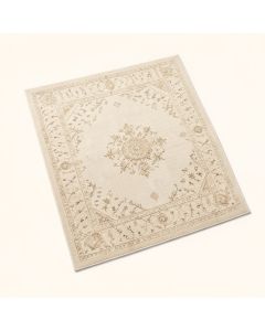 Lara Oriental Ivory Area Rug (synthetic illustration; no displayed measurements)