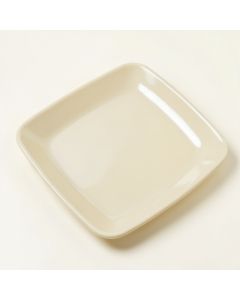 Willsboro Melamine Square 8.25 '' Salad Plate (synthetic illustration; no displayed measurements)