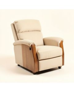Ehonmwon 32.3 '' Wide Power Lift Assist Standard Recliner (synthetic illustration; no displayed measurements)