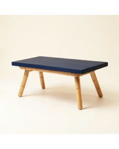 Ash Bridge Indoor Bench - Navy (synthetic illustration; no displayed measurements)